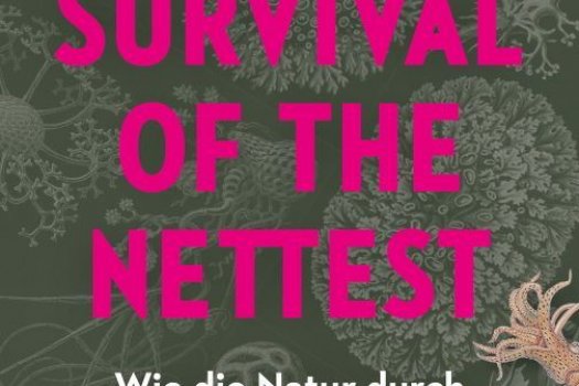 Buchcover, Dirk Brockmann, Survival of the nettest