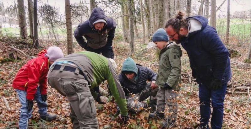 Wildpflanzenf&uuml;hrung